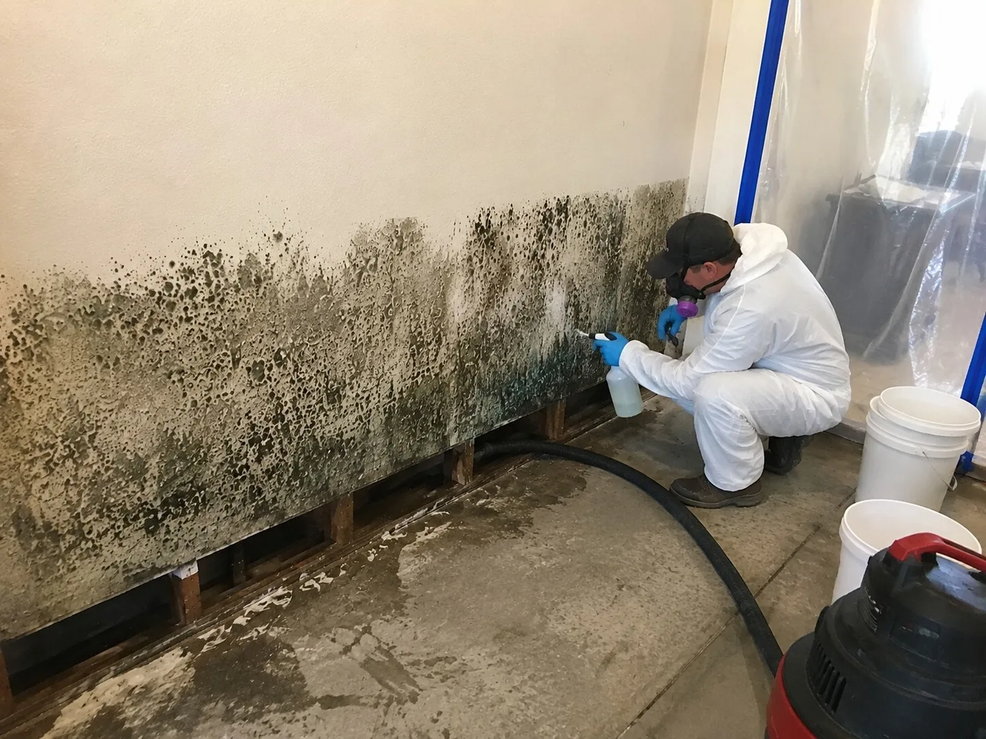 Mold in Mountain Center, CA